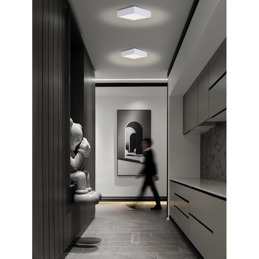 Immax NEO 07238L - LED Prigušiva plafonjera CANTO LED/22W/230V bela Tuya + Daljinski upravljač