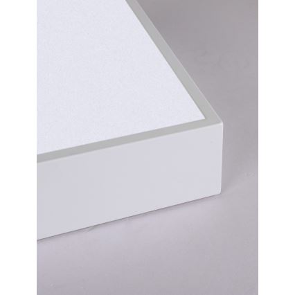 Immax NEO 07238L - LED Prigušiva plafonjera CANTO LED/22W/230V bela Tuya + Daljinski upravljač