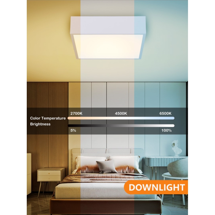 Immax NEO 07238L - LED plafonsko svetlo CANTO, prigušiva, LED/22W/230V, belo, Tuya + daljinski upravljač