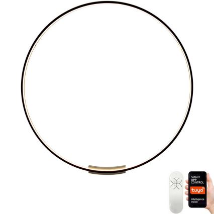Immax NEO 07245-120 - LED Prigušiva zidna lampa FINO LED/70W/230V 120 cm Tuya + Daljinski upravljač