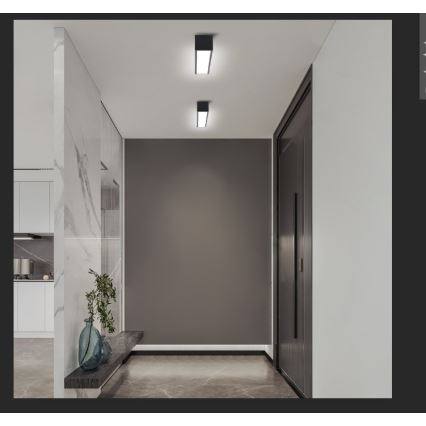 Immax NEO 07254L - LED Prigušiva plafonjera NEO LITE LUNGO LED/20W/230V 3000-6000K Wi-Fi Tuya crno + Daljinski upravljač