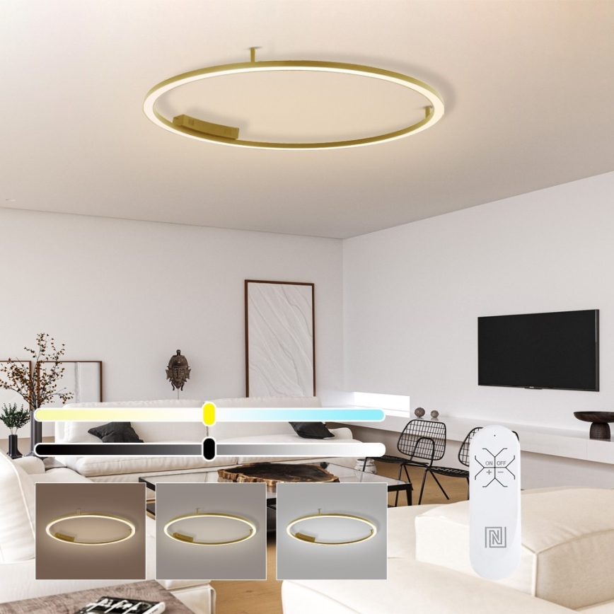 Immax NEO 07290-120G - LED+CCT prigušiva plafonska svetiljka FINO LED/55W/230V 2700-6500K Tuya prečnik 120 cm + daljinski upravljač