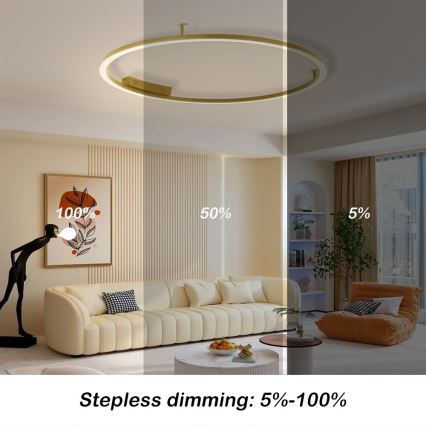 Immax NEO 07290-120G - LED+CCT prigušiva plafonska svetiljka FINO LED/55W/230V 2700-6500K Tuya prečnik 120 cm + daljinski upravljač