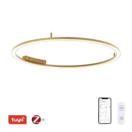 Immax NEO 07290-120G - LED+CCT prigušiva plafonska svetiljka FINO LED/55W/230V 2700-6500K Tuya prečnik 120 cm + daljinski upravljač