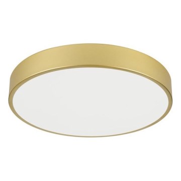 Immax NEO 07292L - prigušiva LED plafonska svetiljka NEO LITE SEMPLICI LED/36W/230V 3000-6000K prečnik 40 cm Wi-Fi Tuya zlatna + daljinski upravljač