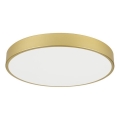 Immax NEO 07293L - prigušiva plafonska LED lampa NEO LITE SEMPLICI LED/60W/230V 3000-6000K prečnik 60 cm Wi-Fi Tuya zlatna + daljinski upravljač