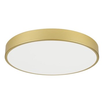 Immax NEO 07293L - prigušiva plafonska LED lampa NEO LITE SEMPLICI LED/60W/230V 3000-6000K prečnik 60 cm Wi-Fi Tuya zlatna + daljinski upravljač