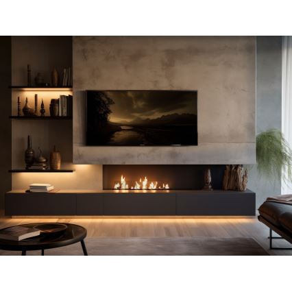 InFire - Ugradni BIO kamin 8,5x100 cm 6 kW crna