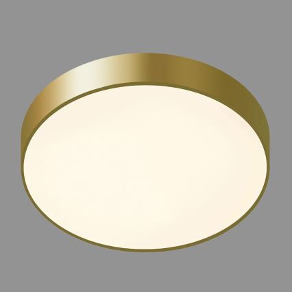 ITALUX - LED Plafonjera ORBITAL LED/30W/230V 3000K zlatna