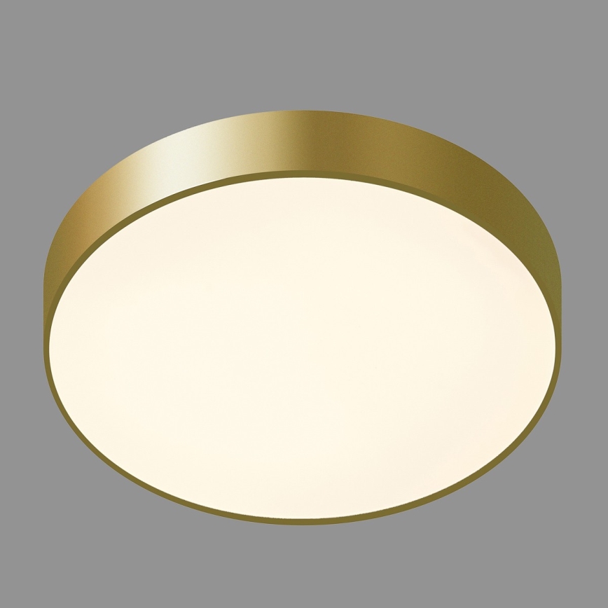 ITALUX - LED Plafonjera ORBITAL LED/30W/230V 3000K zlatna