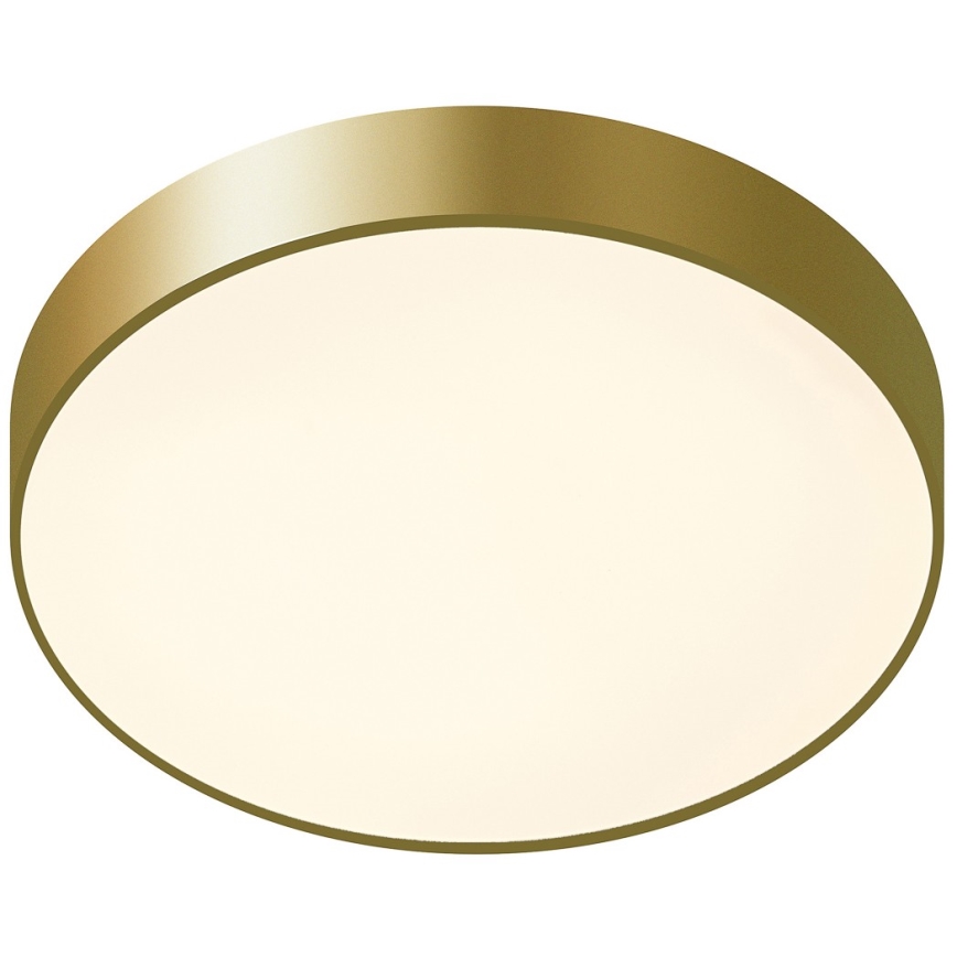 ITALUX - LED Plafonjera ORBITAL LED/30W/230V 3000K zlatna