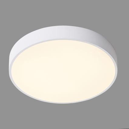 ITALUX - LED Plafonjera ORBITAL LED/30W/230V 3000K bela