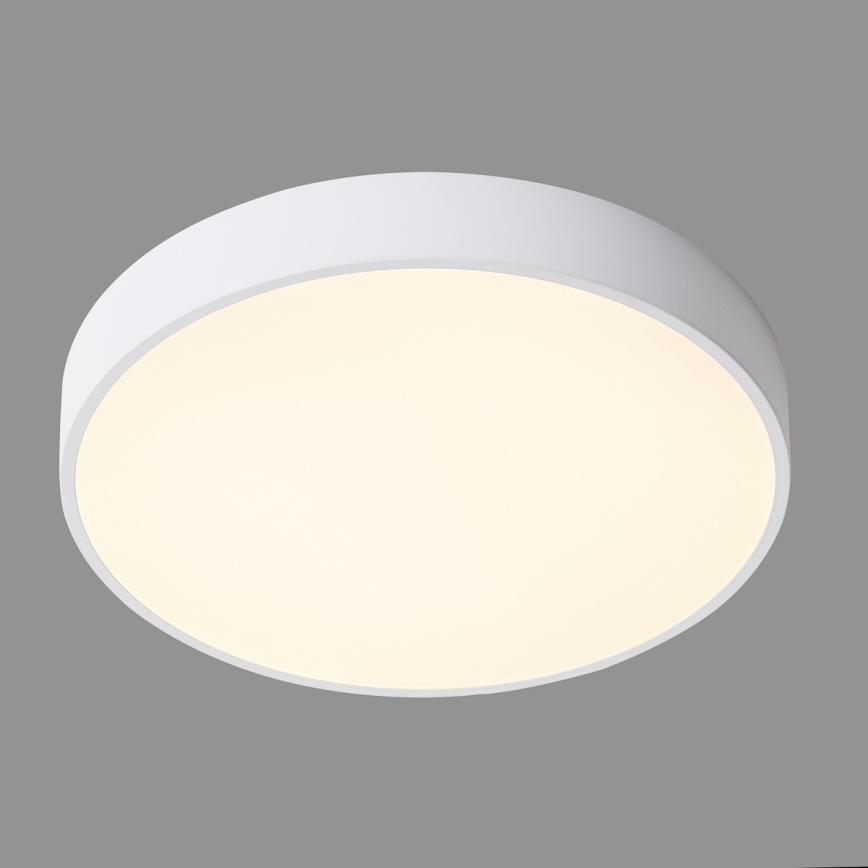 ITALUX - LED Plafonjera ORBITAL LED/30W/230V 3000K bela