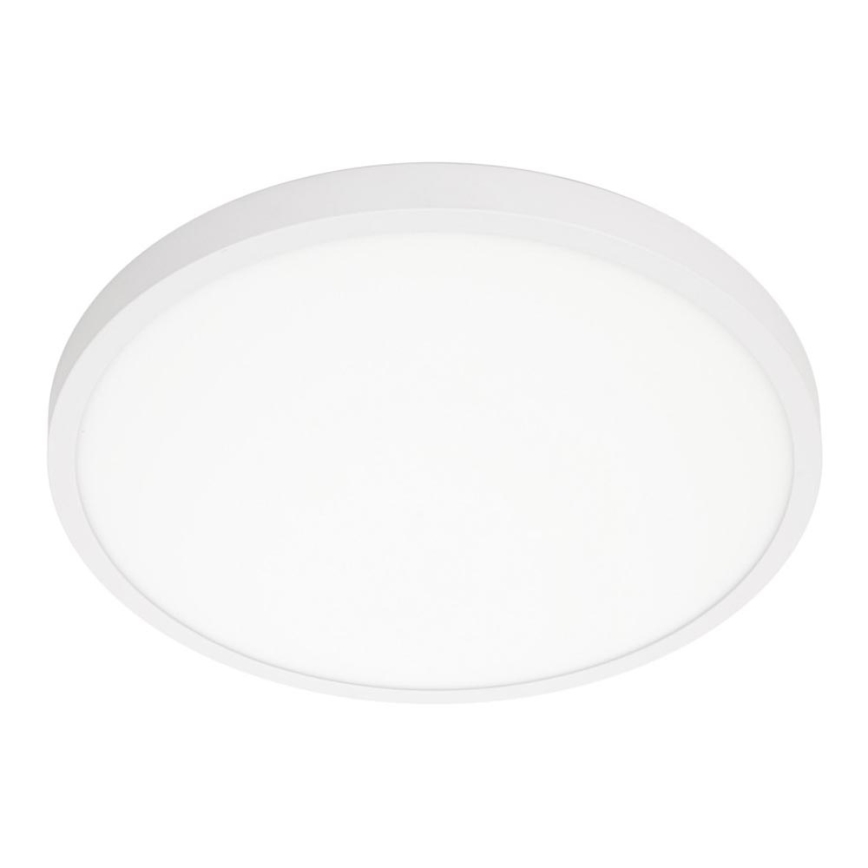 ITALUX - LED Plafonjera PELARO LED/30W/230V 3000K pr. 40 cm bela
