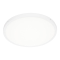 ITALUX - LED Plafonjera PELARO LED/36W/230V 3000K pr. 50 cm bela