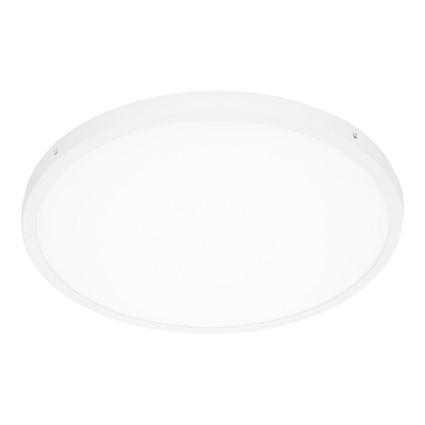 ITALUX - LED Plafonjera PELARO LED/36W/230V 4000K pr. 50 cm bela