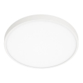 ITALUX - LED Plafonjera RIBERIO LED/30W/230V 3000K bela