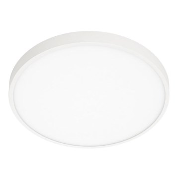 ITALUX - LED Plafonjera RIBERIO LED/30W/230V 3000K bela
