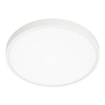 ITALUX - LED Plafonjera RIBERIO LED/30W/230V 4000K bela