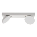 ITALUX - LED Reflektorska lampa CASTELIO 2xLED/5W/230V 4000K bela