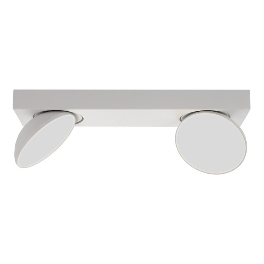 ITALUX - LED Reflektorska lampa CASTELIO 2xLED/5W/230V 4000K bela