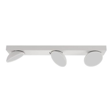 ITALUX - LED Reflektorska lampa CASTELIO 3xLED/5W/230V 4000K bela