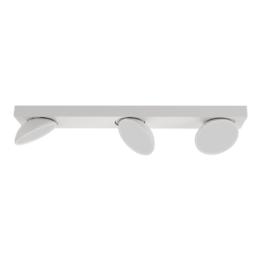 ITALUX - LED Reflektorska lampa CASTELIO 3xLED/5W/230V 4000K bela