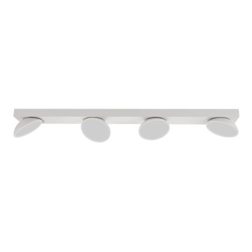 ITALUX - LED Reflektorska lampa CASTELIO 4xLED/5W/230V 4000K bela