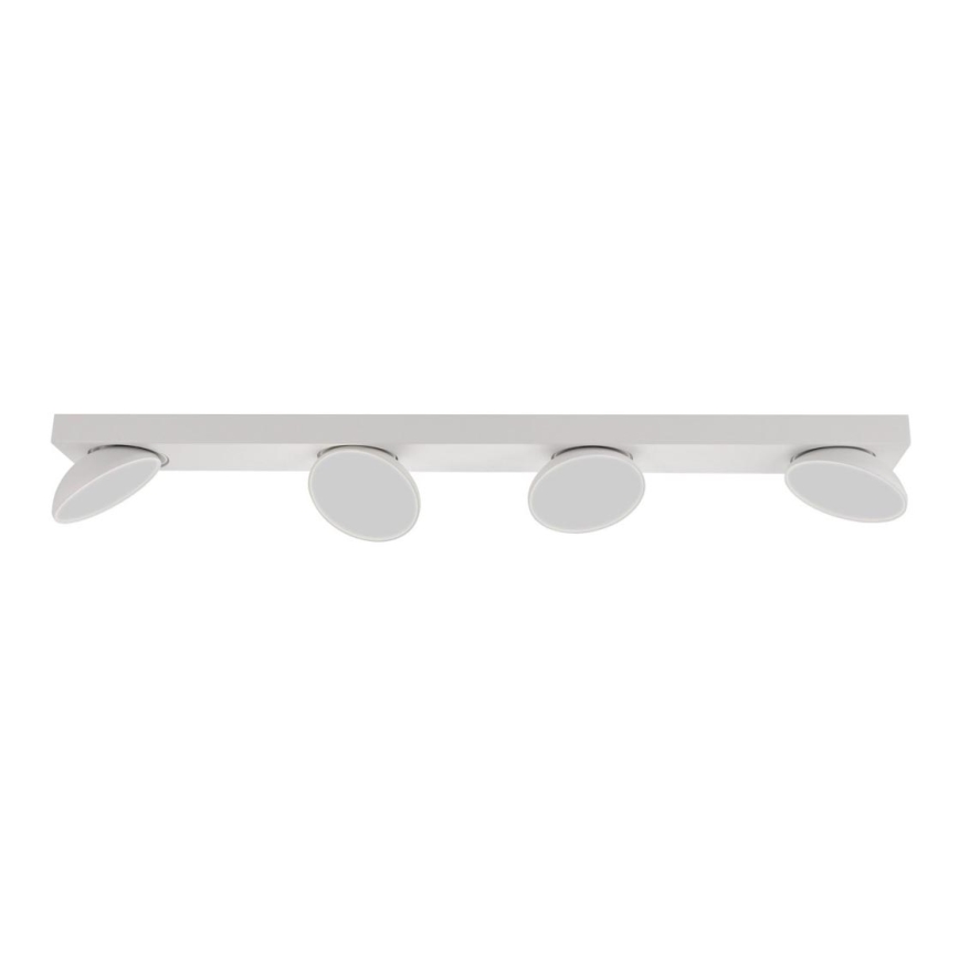ITALUX - LED Reflektorska lampa CASTELIO 4xLED/5W/230V 4000K bela
