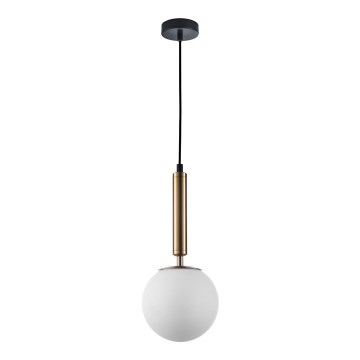 ITALUX - Luster na sajli RAVENA 1xE27/10W/230V crno/zlatna