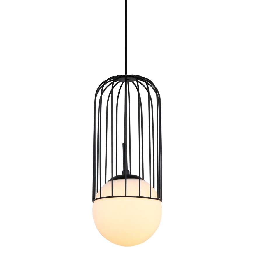 ITALUX - Luster na sajli MATTY 1xE27/40W/230V pr. 15 cm crno
