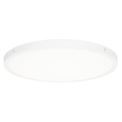 ITALUX - LED Plafonjera PELARO LED/36W/230V 3000K pr. 50 cm bela