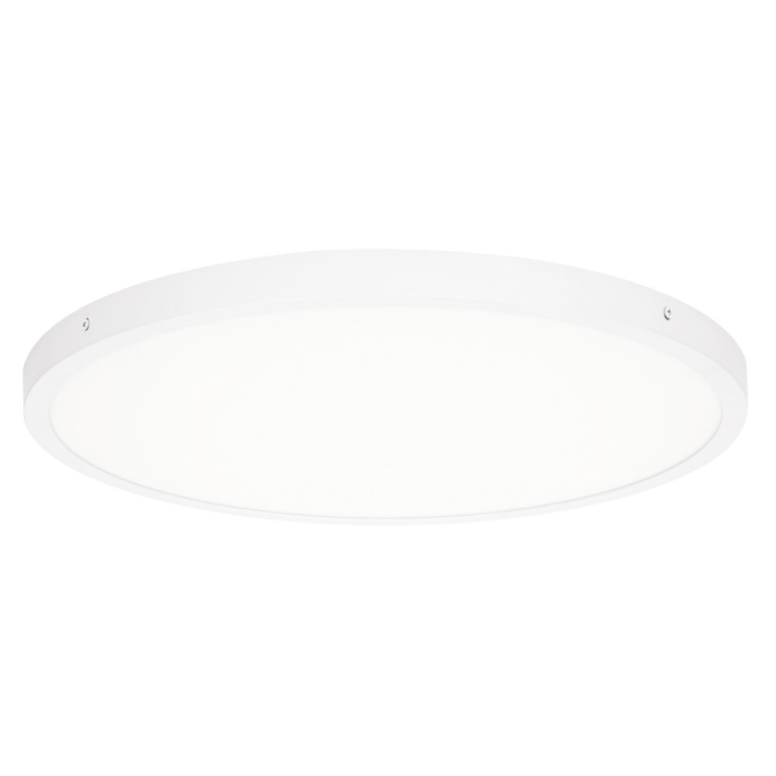 ITALUX - LED Plafonjera PELARO LED/36W/230V 3000K pr. 50 cm bela