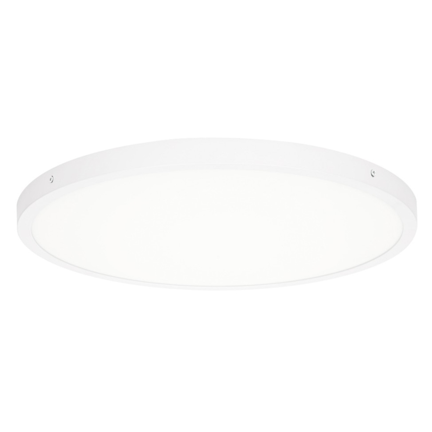 ITALUX - LED Plafonjera PELARO LED/36W/230V 4000K pr. 50 cm bela