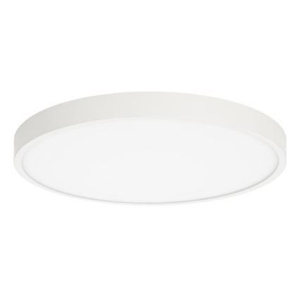 ITALUX - LED Plafonjera RIBERIO LED/30W/230V 3000K bela