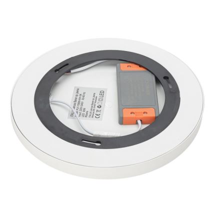 ITALUX - LED Plafonjera RIBERIO LED/30W/230V 3000K bela