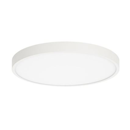 ITALUX - LED Plafonjera RIBERIO LED/30W/230V 4000K bela