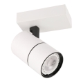 ITALUX - Reflektorska lampa LACONI 1xGU10/35W/230V bela