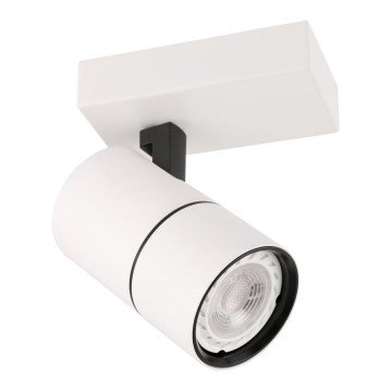 ITALUX - Reflektorska lampa LACONI 1xGU10/35W/230V bela