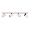 ITALUX - Reflektorska lampa LACONI 4xGU10/35W/230V bela