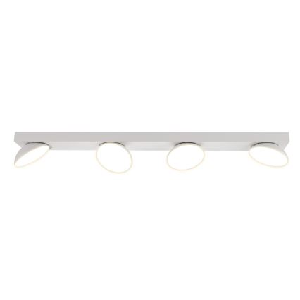 ITALUX - LED Reflektorska lampa CASTELIO 4xLED/5W/230V 4000K bela