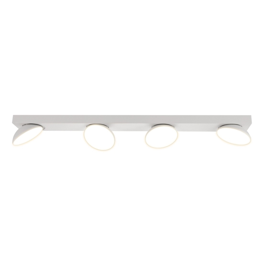 ITALUX - LED Reflektorska lampa CASTELIO 4xLED/5W/230V 4000K bela