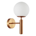 ITALUX - Zidna lampa RAVENA 1xE27/10W/230V mesing