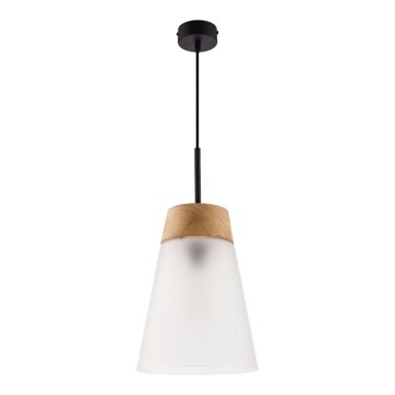 Jupiter 1538 - DM 1 MA - Viseća lampa DOMINO E27/60W