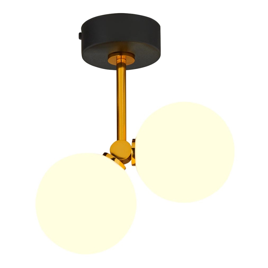 Jupiter 1918 - Viseći luster LUNA 2xG9/40W/230V mesing/crno