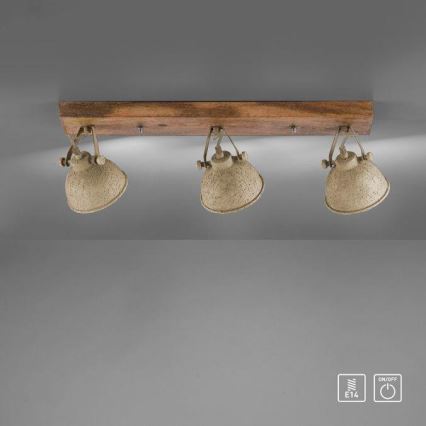 JUST LIGHT. 11983-39 - Reflektorska lampa SAMIA 3xE14/40W/230V