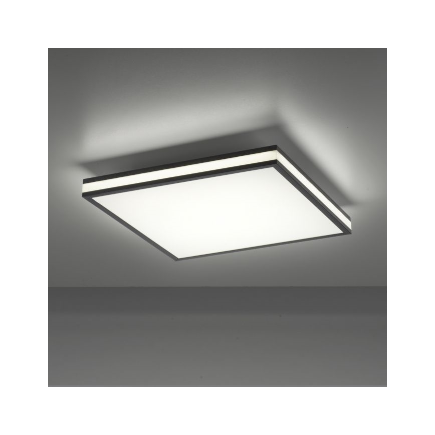 JUST LIGHT. 14110-18 - LED RGBW Prigušiva plafonjera MARIO BLACK LED/19,5W/230V 2700-5000K + Daljinski upravljač