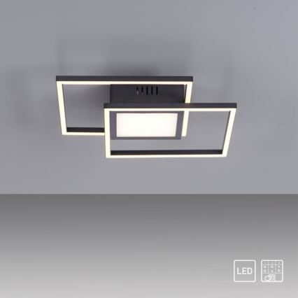 JUST LIGHT. 14144-18 - LED Plafonjera ASMIN LED/26W/230V