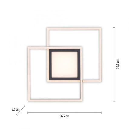JUST LIGHT. 14144-18 - LED Plafonjera ASMIN LED/26W/230V