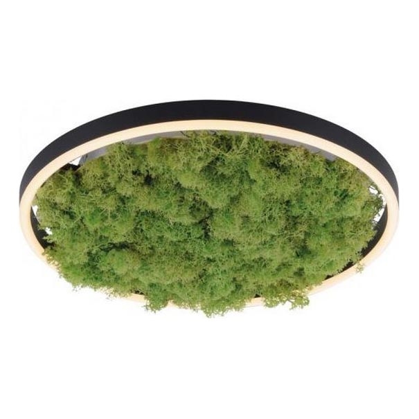 JUST LIGHT. 15391-66 - LED Prigušiva plafonjera zeleno RITU LED/20W/230V